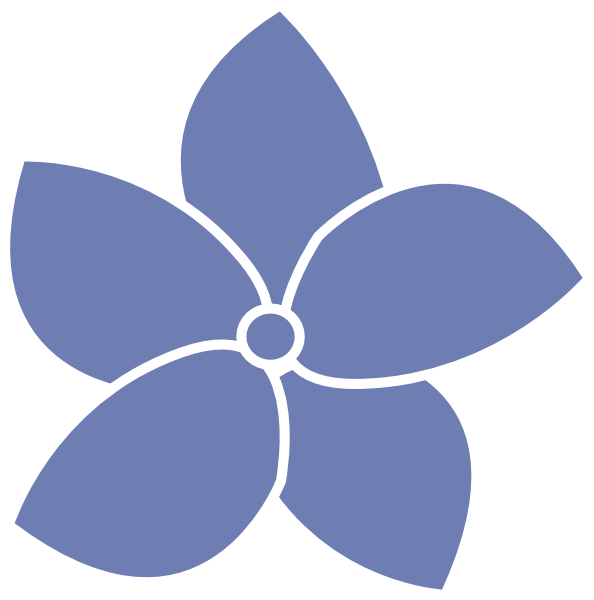 Hydrangea Flower And Leaf Isolated On White - Hydrangea Clipart (594x600)