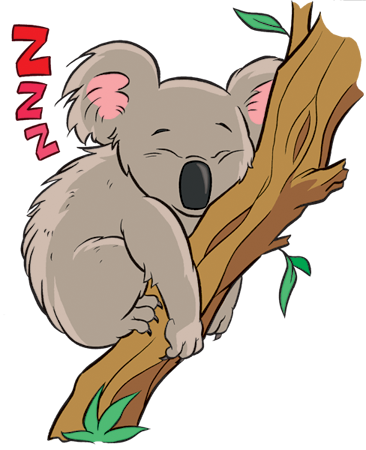 Koala Comic - Koala Comic (366x450)