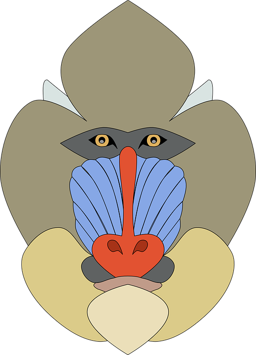 Mandrill Face Shower Curtain (519x720)