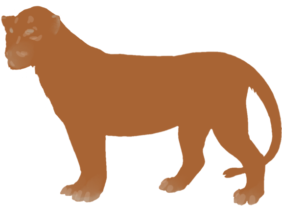 Lion (640x500)