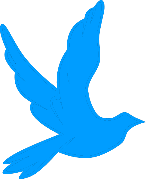 Imagenes De Palomas Negras (486x598)