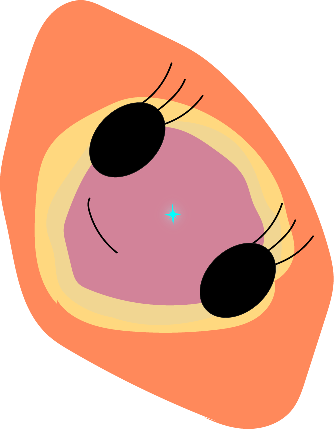 Ring Nebula - Clip Art (668x859)