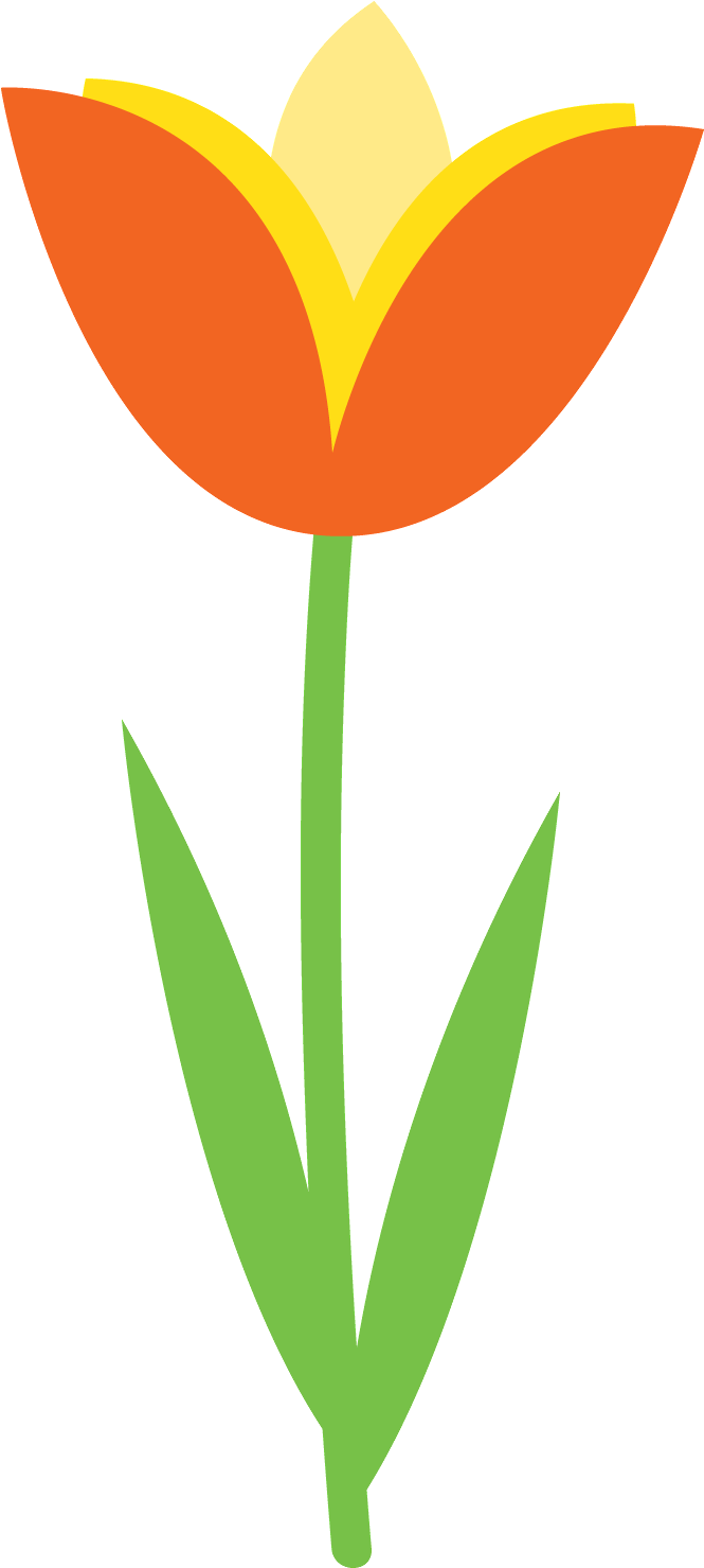 Corujas 2 - Minus - Corujas 2 - Minus (686x1500)