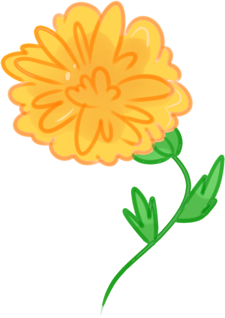 English Marigold (500x700)