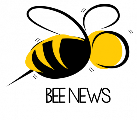 Bee News - Graphic Design (480x421)