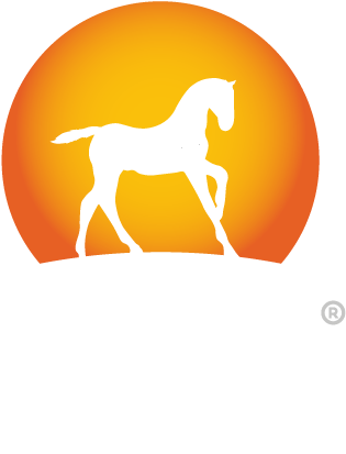 Logo Logo Logo - Stallion (500x500)