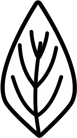 Leaf Ecology Preservation Icon - Vector Marketing (550x550)