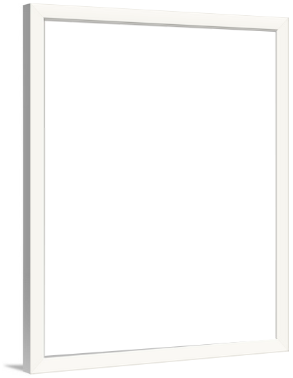 Hidden - Picture Frame (425x547)