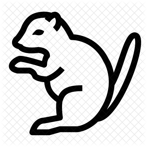 Squirrel Icon - Squirrel (512x512)