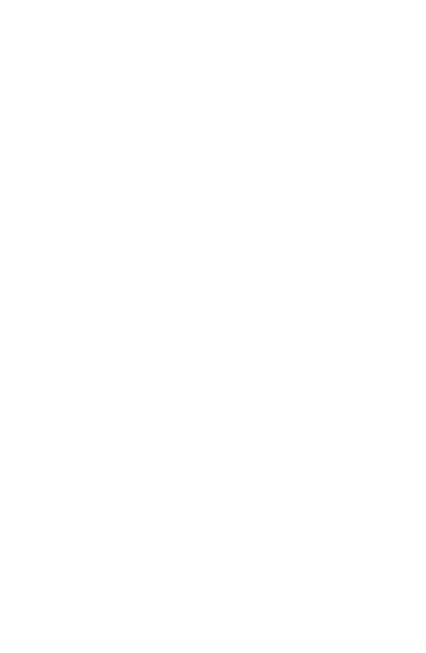Wedding (390x598)