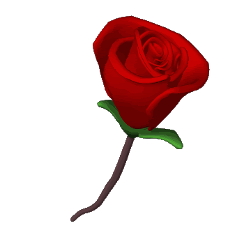Lule Per 7 Marsin (350x350)