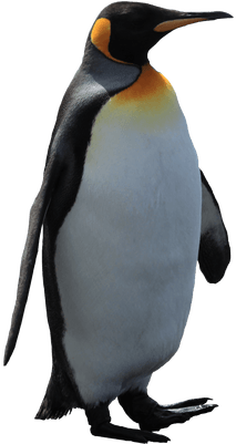 Attack On Titan Penguin (400x400)