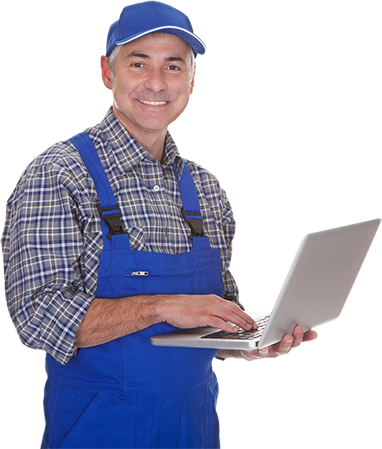 Image - Professional (382x449)