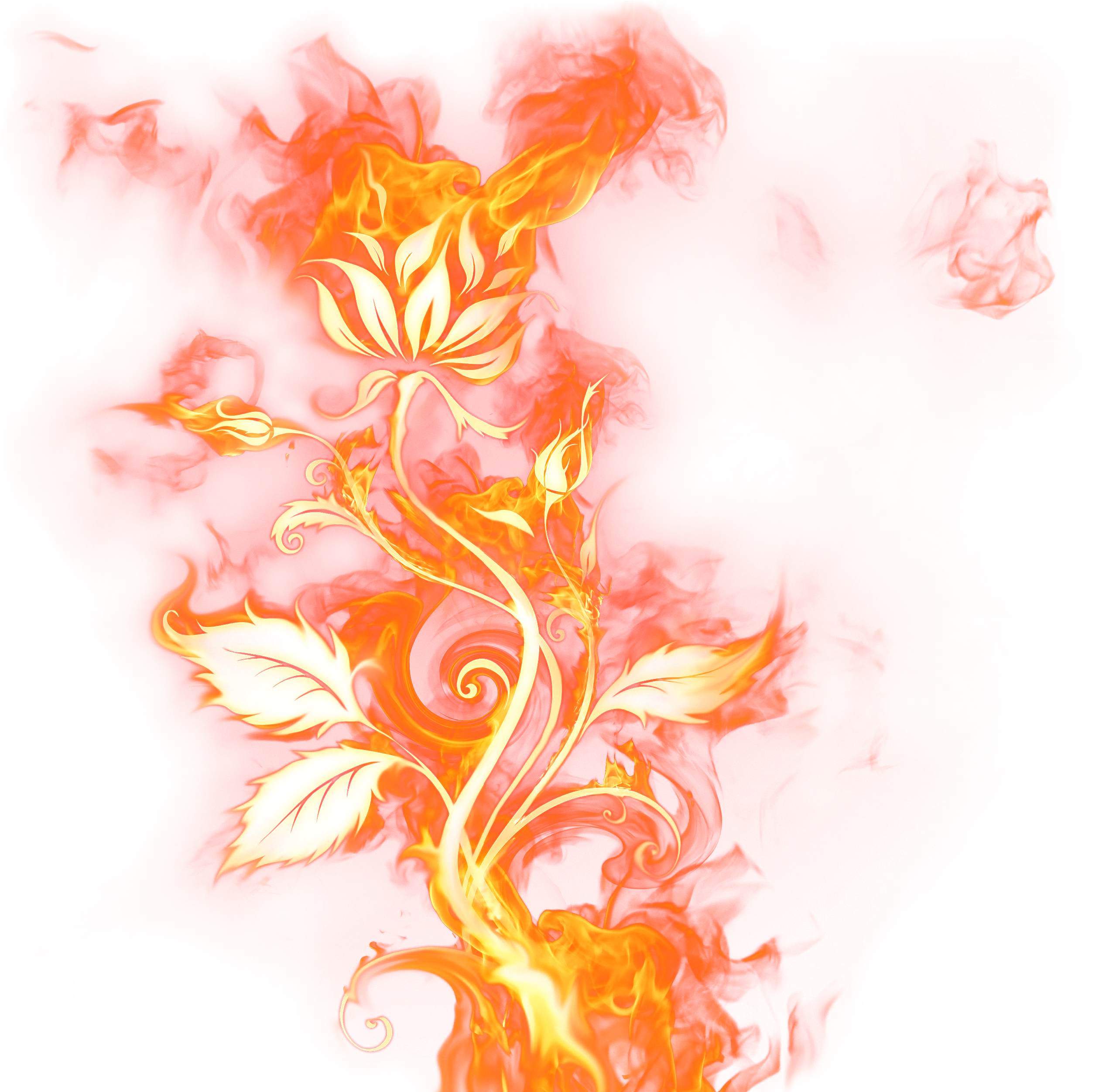 Flower Fire Png (2808x2744)