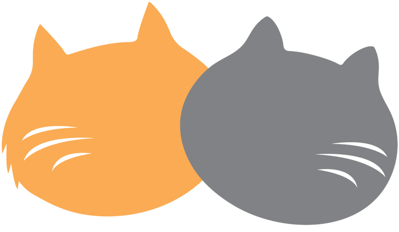Picture - Pusheen (800x800)