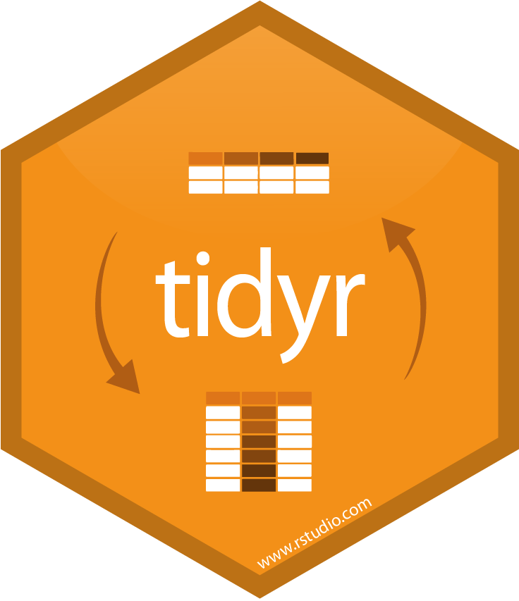 Tidyr R (736x853)