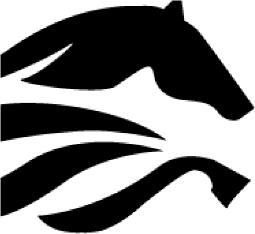 Fish (512x512)