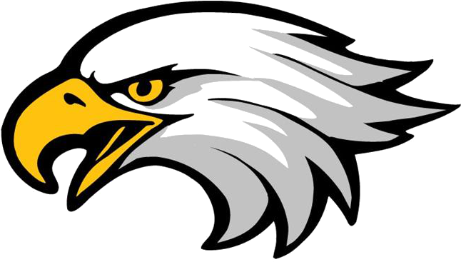 Face Clipart Eagle - Bald Eagle Head Clip Art (800x487)
