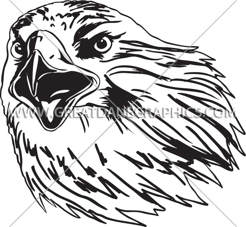 Hornbill (825x763)