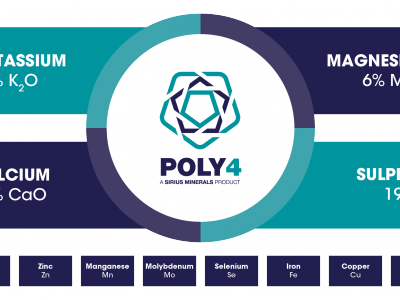 Poly4 (400x300)