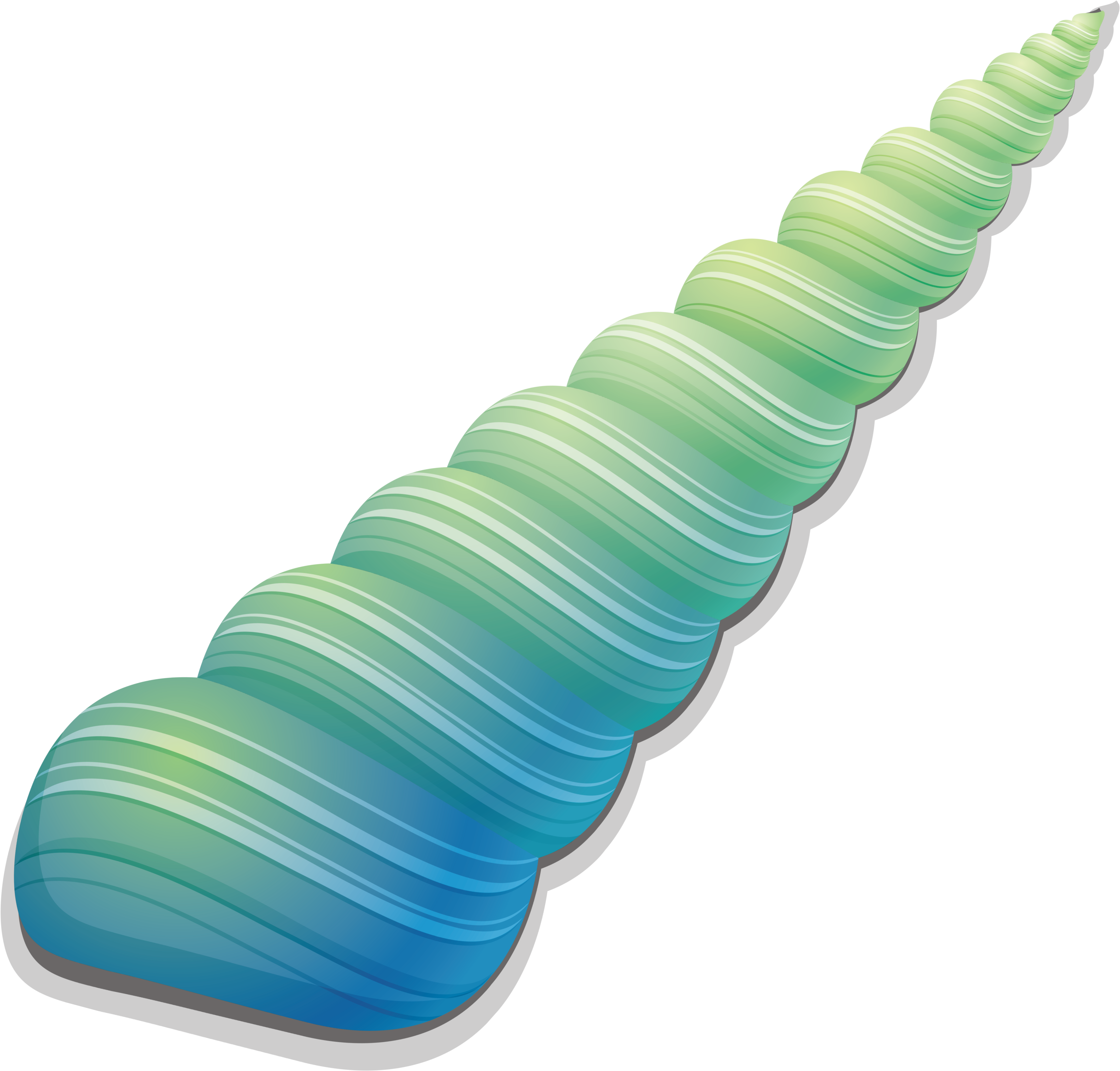 Conch Seashell Clip Art - Conch (3509x4336)
