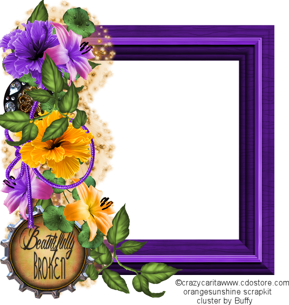 The Treasure Chest - Viola (579x610)