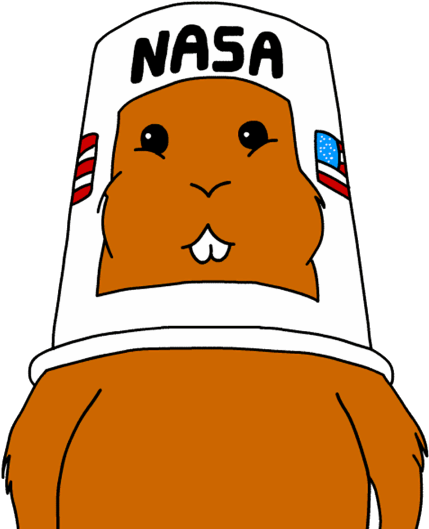 Construir - Hamster Nasa Simpsons (450x540)