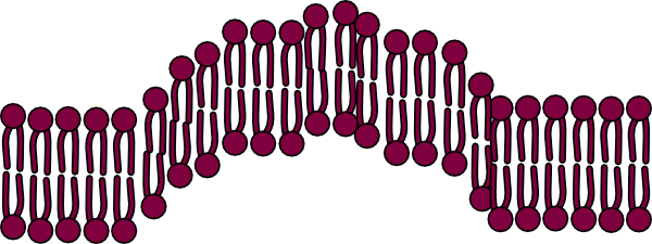 Clip Art (600x225)