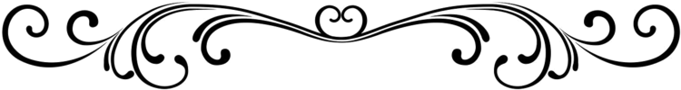 Scroll Clipart Single Line Border - Border Line Without Background (800x212)
