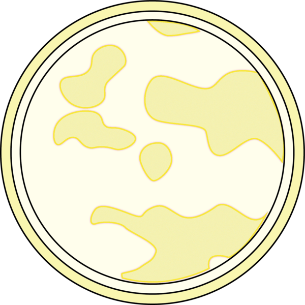 Circle (600x600)