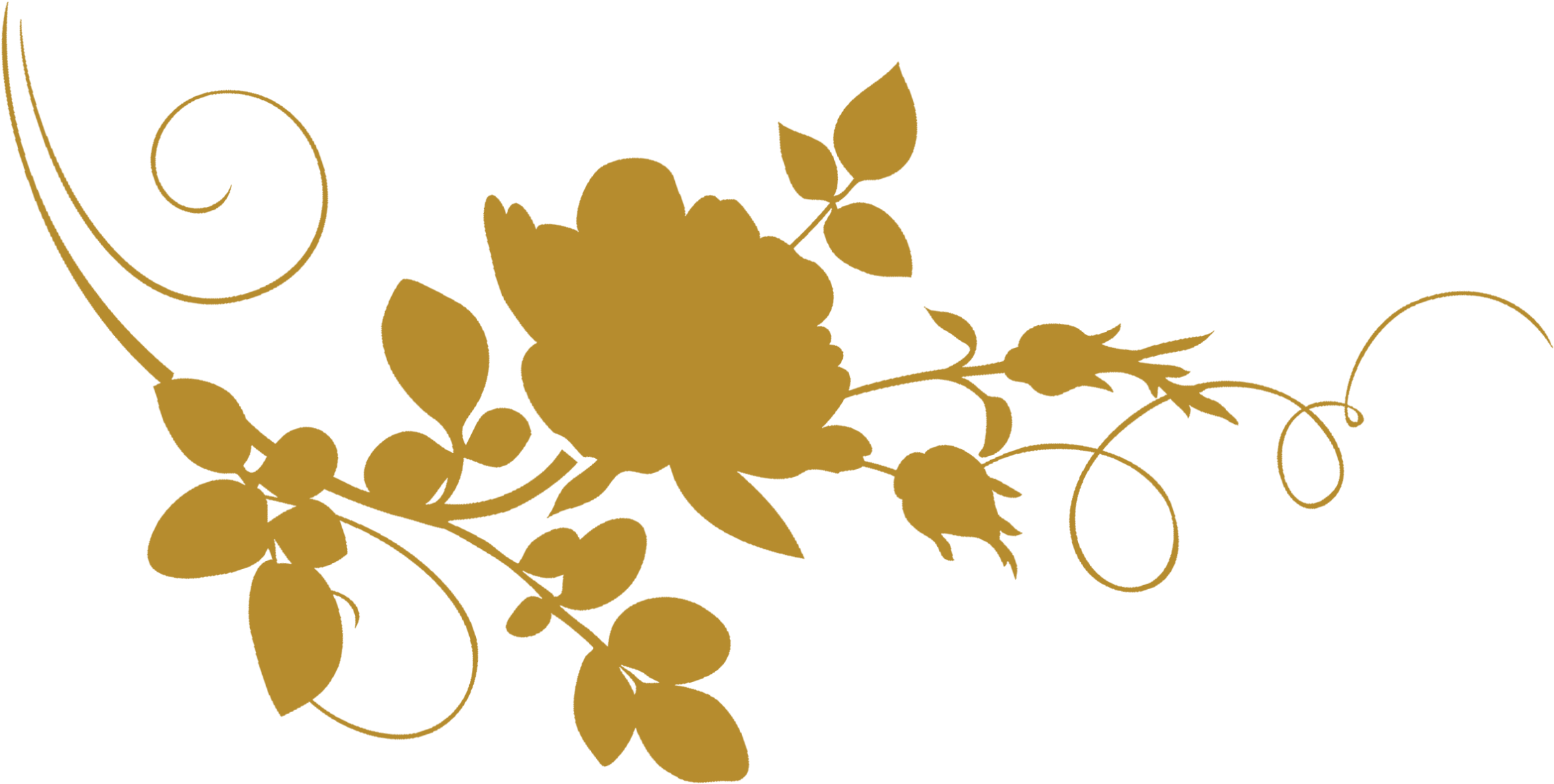 Our Location - Evergreen Rose (2340x1195)