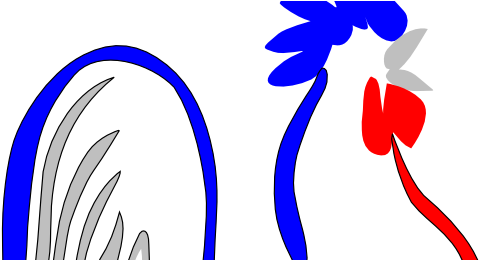 Rooster (492x259)