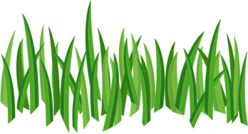 Green Grass - 2d Grass Png (500x272)