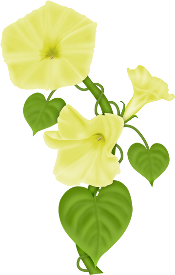 Flower (395x600)