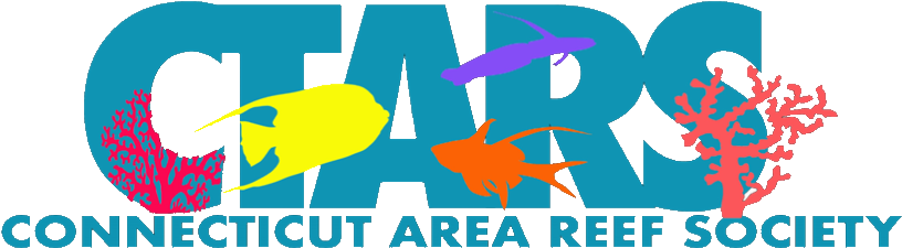 Ctars New Logo No Background 2 - Portable Network Graphics (855x262)