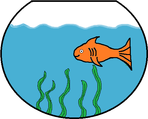 Bony-fish (850x550)