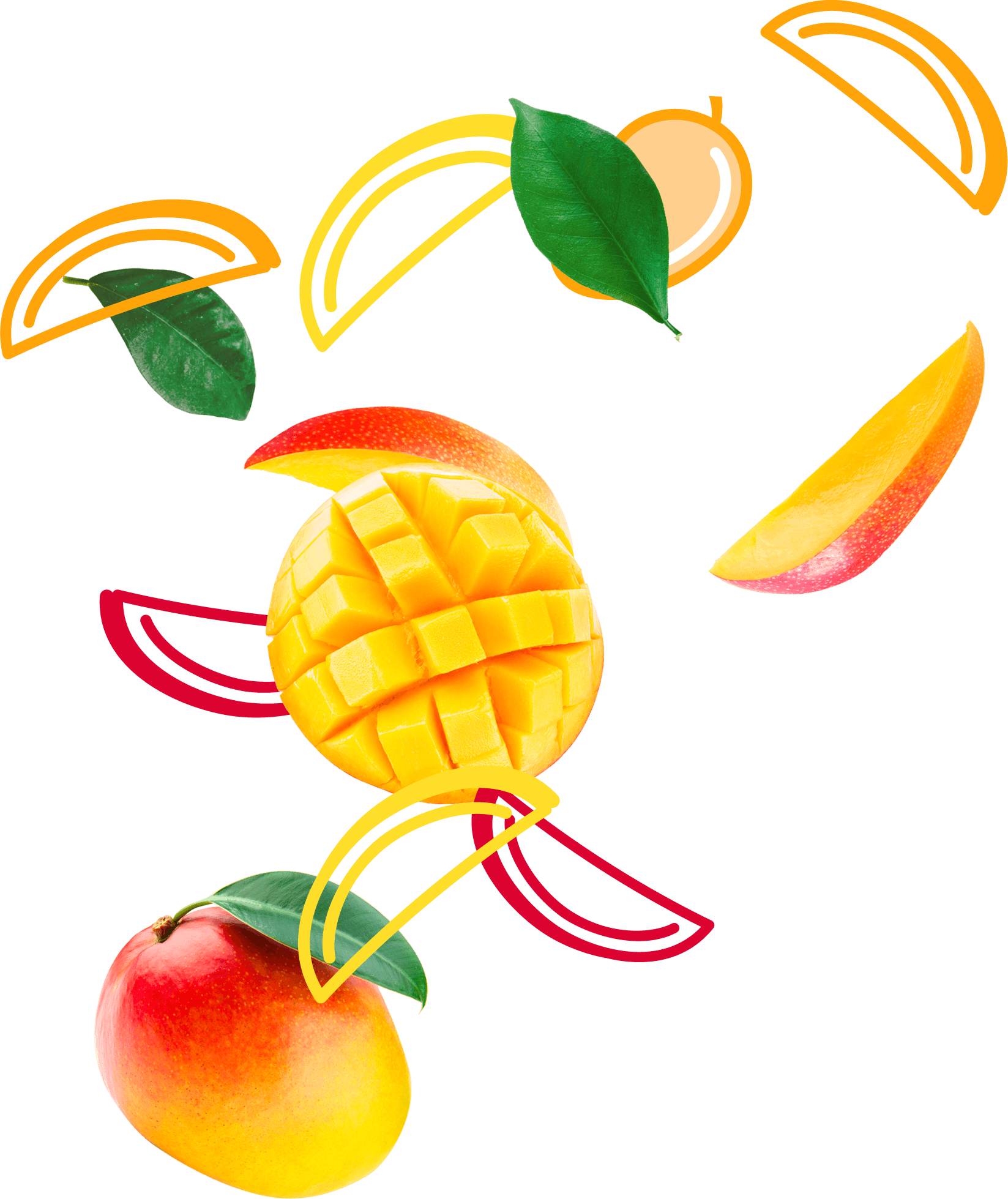 Mango - Mango (1647x1959)