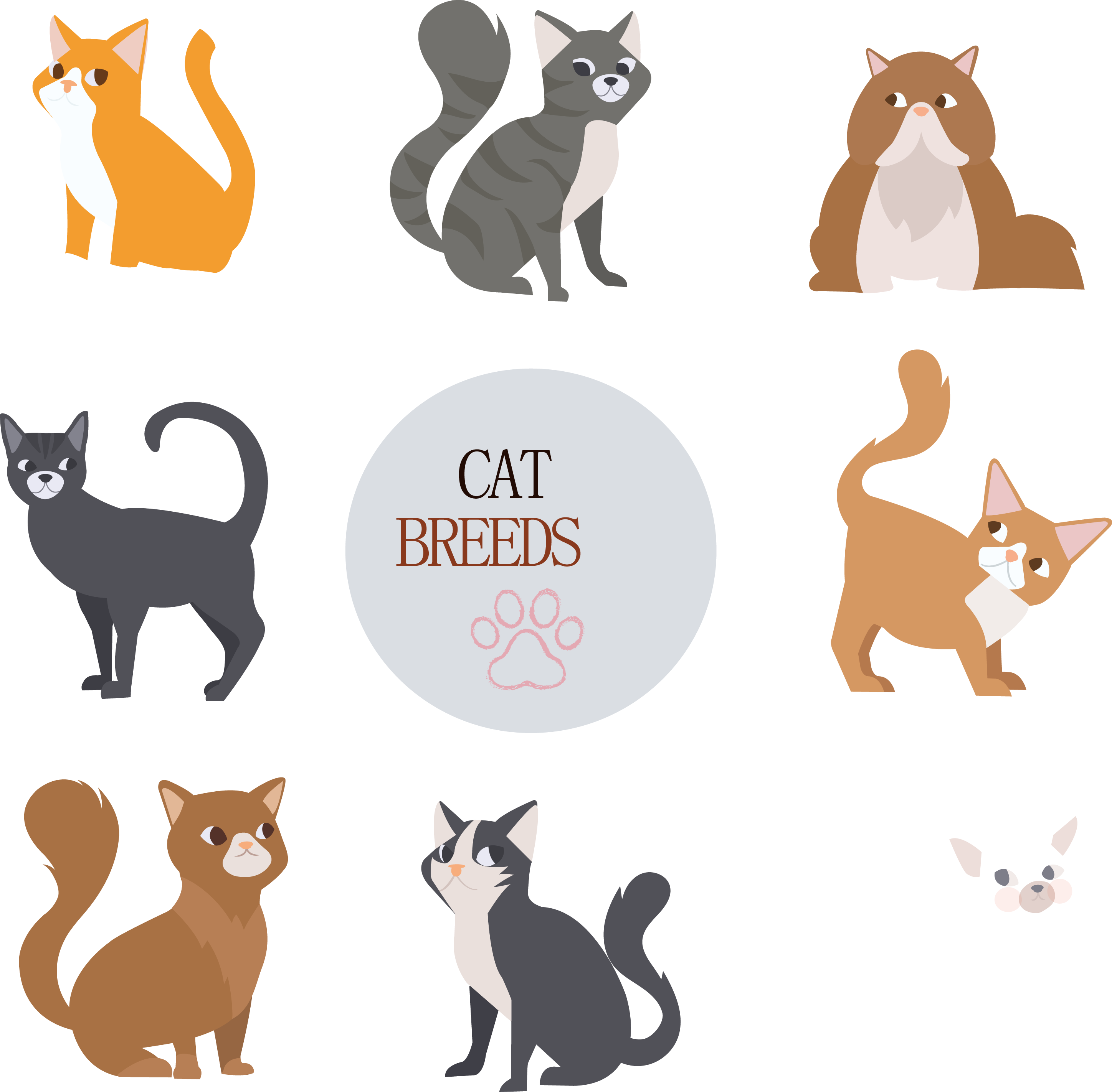 Cat Dog Drawing - Cat Will Blink When Struck (2897x2847)