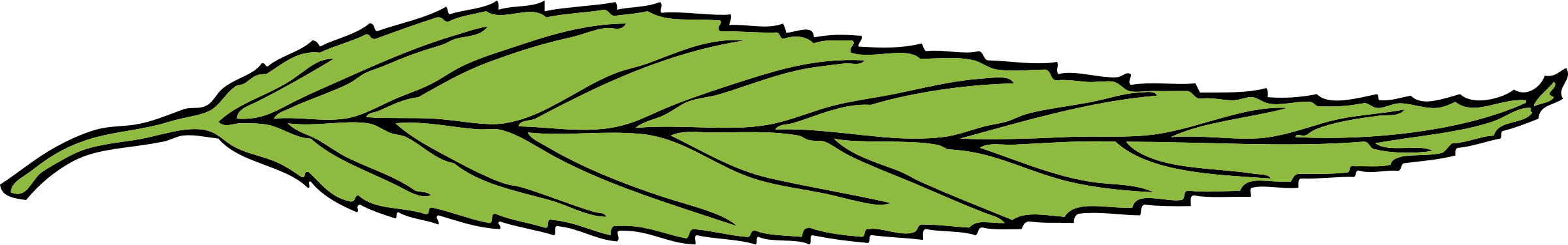 Leaf - Long Skinny Leaf Clipart (2400x376)