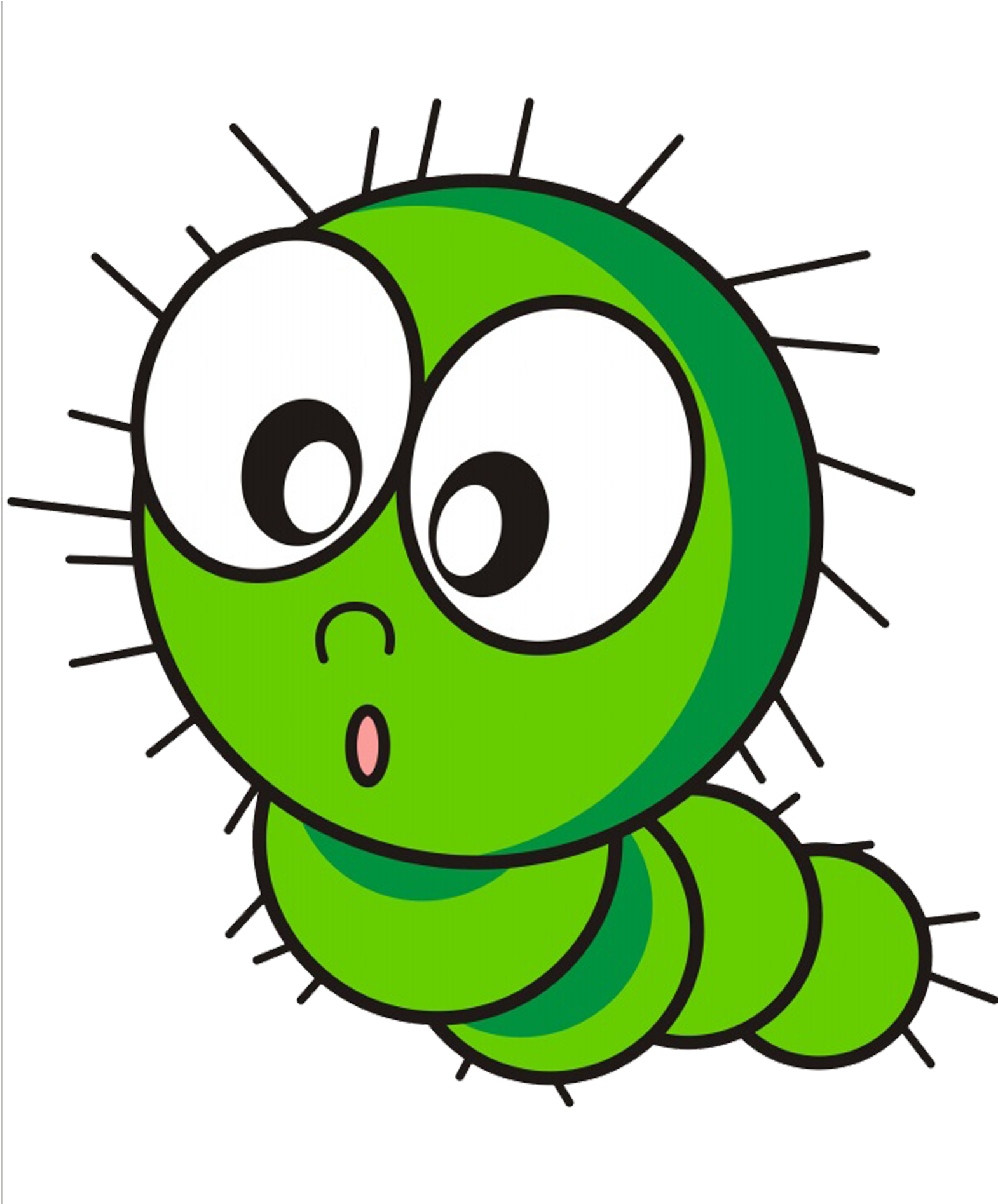 Caterpillar Cartoon Insect - 毛毛 虫 矢量 图 (2953x2953)