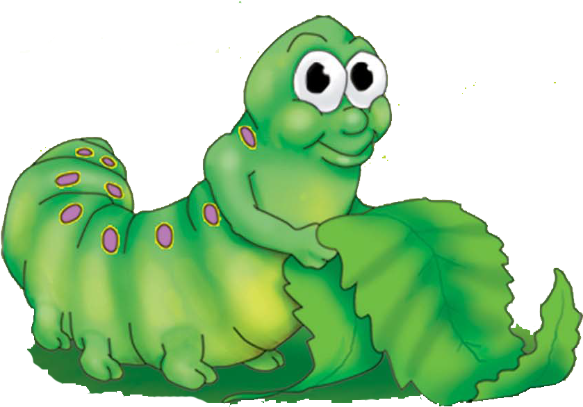 Catapillarleaf - Waxworm (890x623)