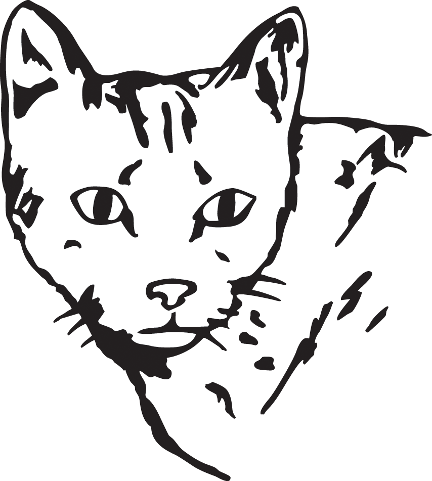10 - Kitten (854x951)