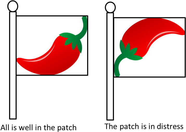 Rick's Pepper Patch Flag - Rick's Pepper Patch Flag (781x529)