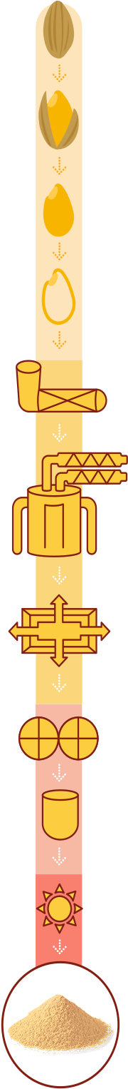 Processing Technology That Enabled The Development - Processing Technology That Enabled The Development (560x1614)