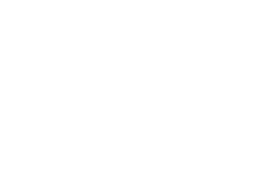 Emblem (959x666)