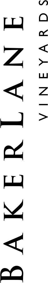Logos - Baker Tilly Berk (240x1200)