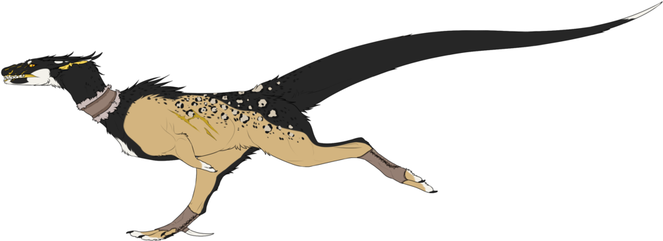 Illustration (1024x430)