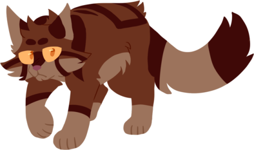 Bramblestar - Cat (500x296)