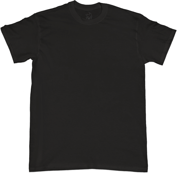 Active Shirt (738x720)