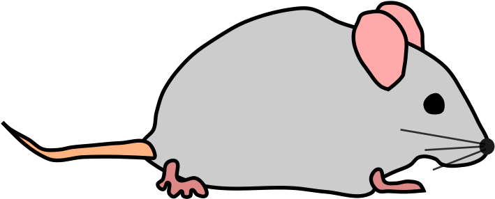 Mouse Clipart - Song (800x566)